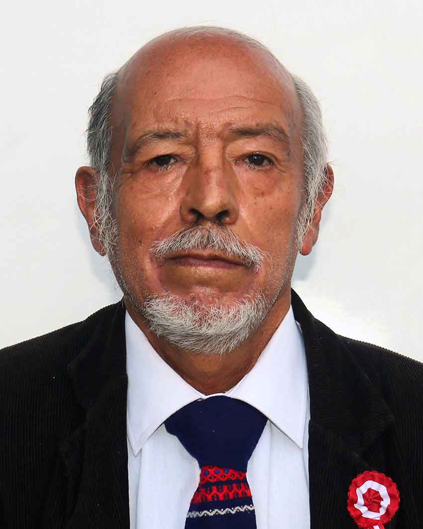ALFONSO-SULCA